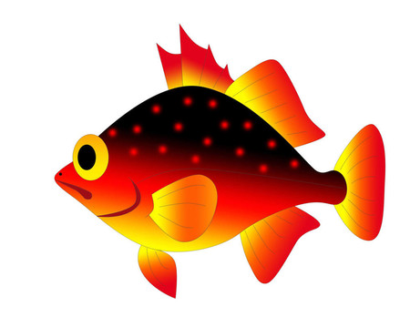 五顏六色的玩具魚