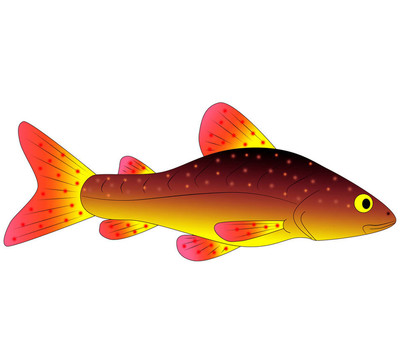 五顏六色的玩具魚