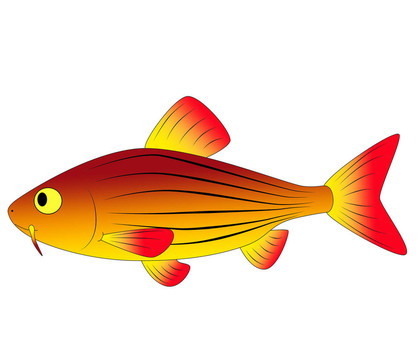 五顏六色的玩具魚