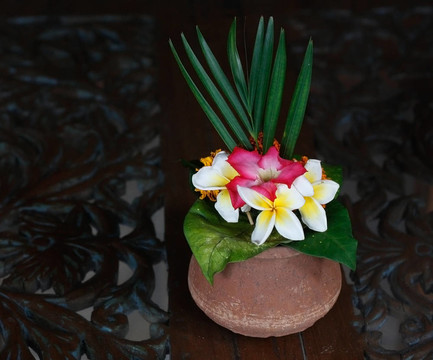 素馨花