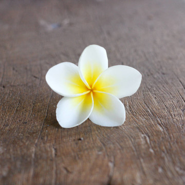 素馨花