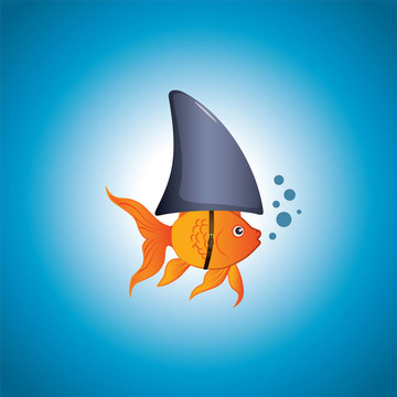 金魚的鯊魚