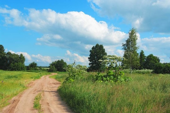 扭轉(zhuǎn)農(nóng)村公路