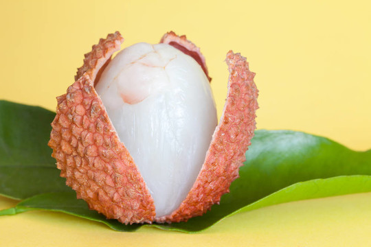荔枝果實