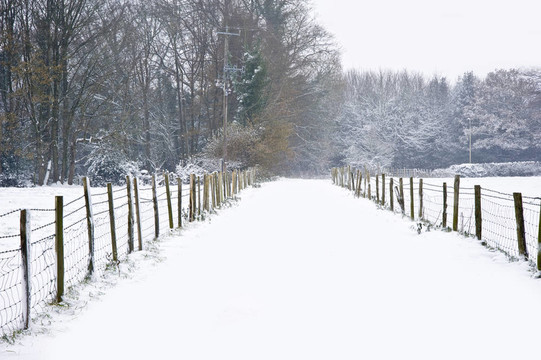 美麗的冬森林雪景與深處女雪