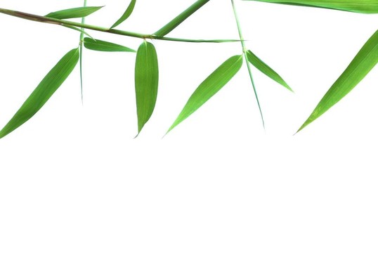 幸運(yùn)竹葉架
