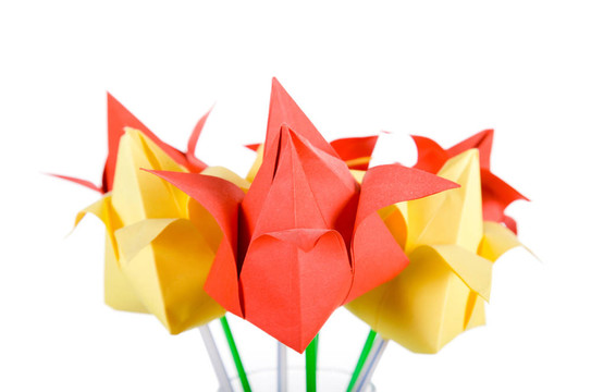 origamis。郁金香.