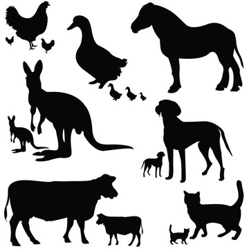 大集合動物