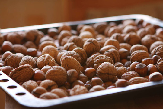 關(guān)閉了新鮮的核桃和hezelnuts