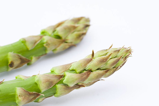 綠色蘆筍莖；園林產(chǎn)品