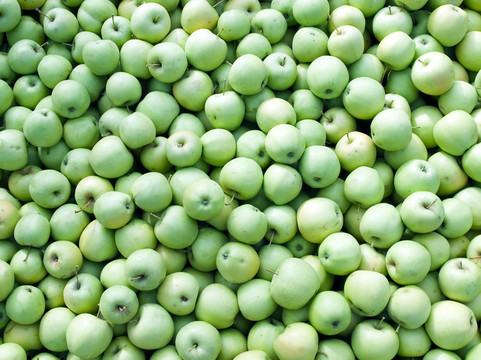 青蘋(píng)果。