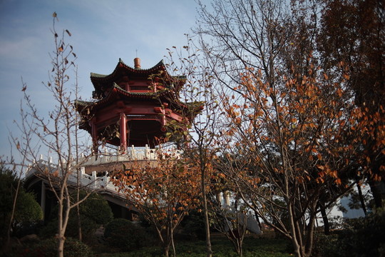 青島湛山寺