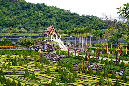 nongnooch熱帶植物園；芭堤雅