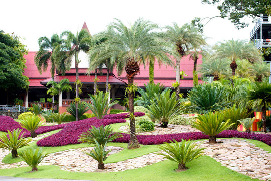 nongnooch熱帶植物園；芭堤雅