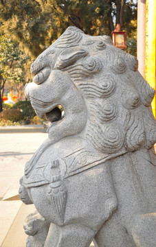 獅子12