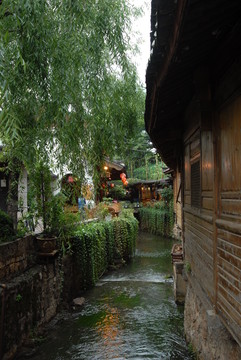 麗江古鎮(zhèn) 小溪垂柳