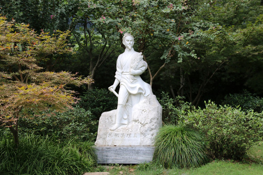 茶祖