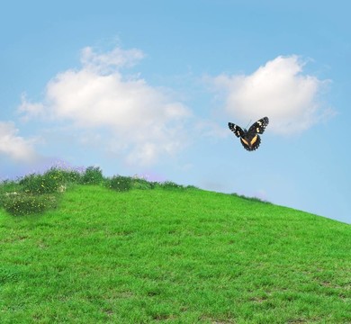 蝴蝶山