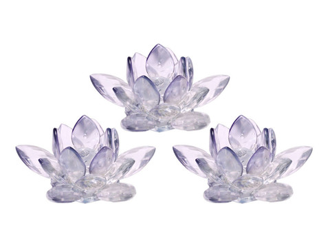 三種結(jié)晶形式的蓮花在白色背景上分離