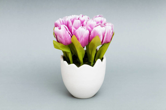 五顏六色的郁金香花在白壺里