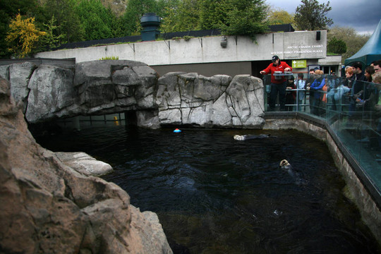 溫哥華水族館；溫哥華；加拿大