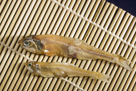 干魚