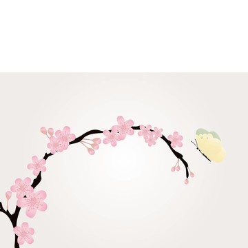 櫻桃樹枝