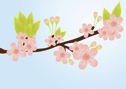 櫻桃樹