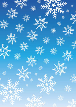 向量的雪花