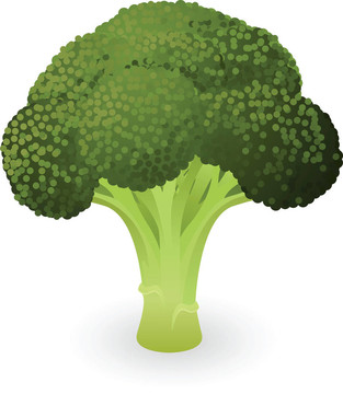 西蘭花的插圖