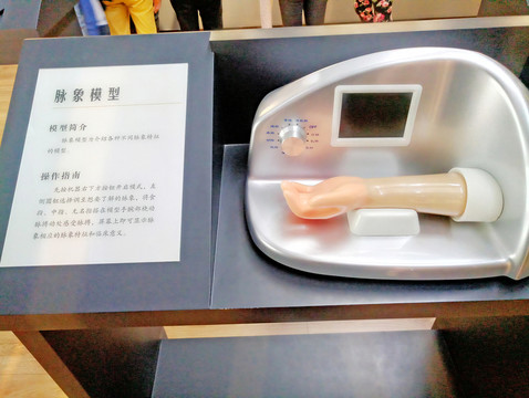 脈象模型 脈絡(luò) 中醫(yī)