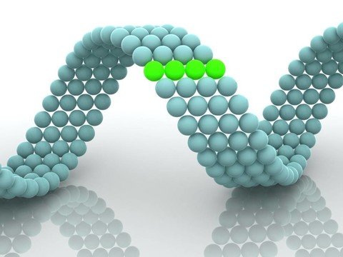 基因在DNA