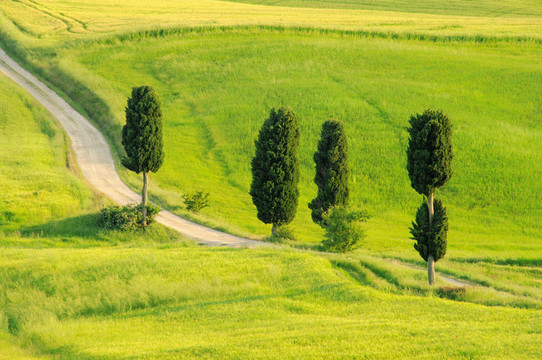 podere terrapille