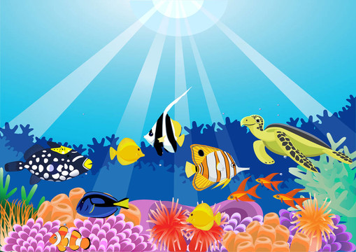 海上的生活