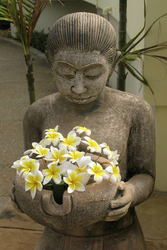 花卉裝飾用
