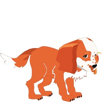 可愛(ài)的小狗；充滿(mǎn)愛(ài)