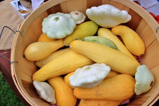 南瓜出售