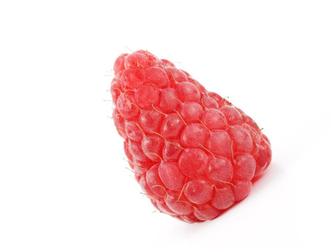 紅樹莓