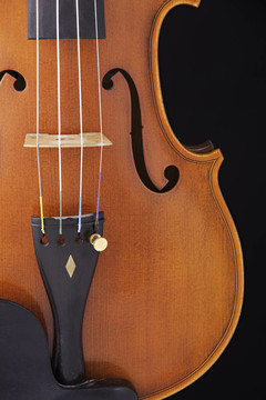 Violin Viola孤立在黑