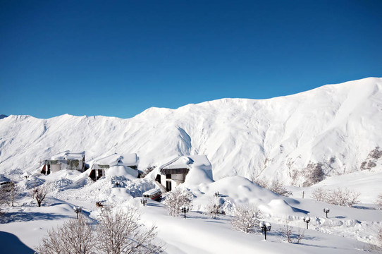 在冬天的雪下的高山