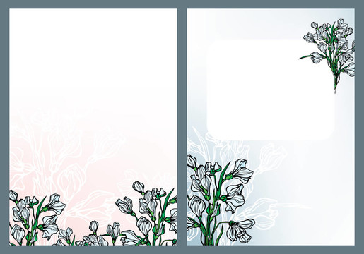 雪花蓮