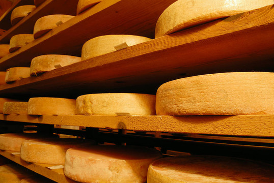 Vacherin Fribourgeois奶酪