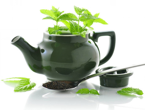 茶的成分