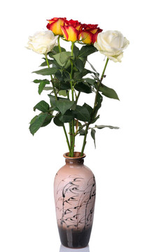花瓶中的紅白玫瑰；分離的
