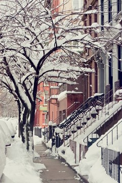 被雪覆蓋的街道