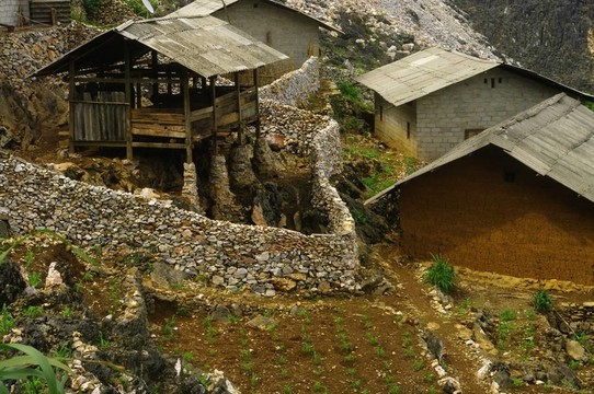 山農(nóng)場