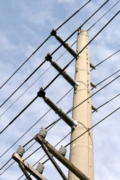 電線