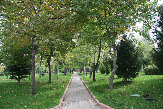 公園的背景