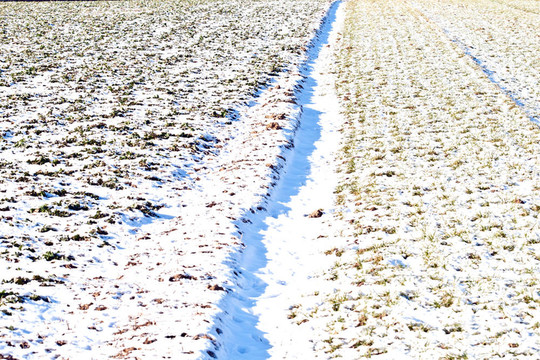 輪胎在冬季雪地上的標(biāo)志