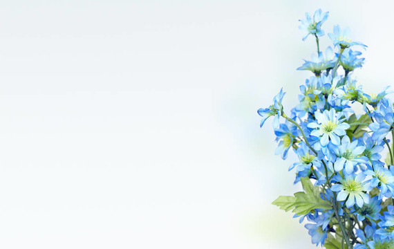 Flowers。